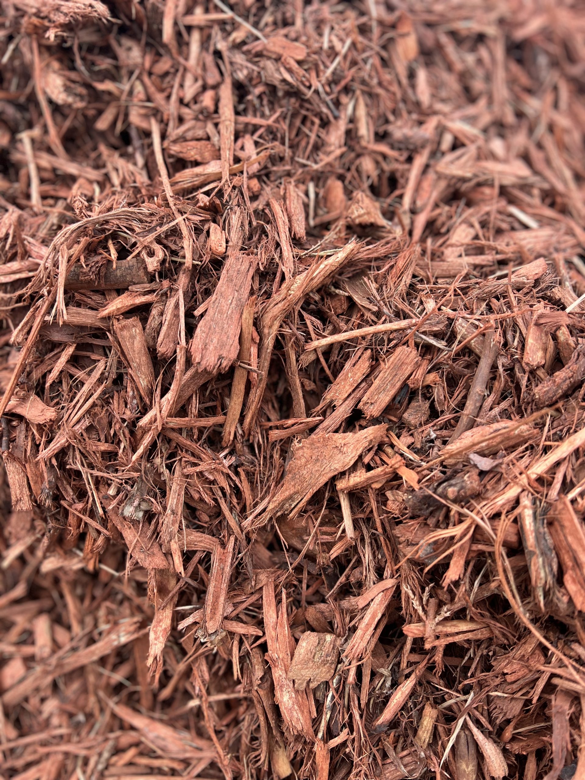 APC Sunset Rose Mulch Construction