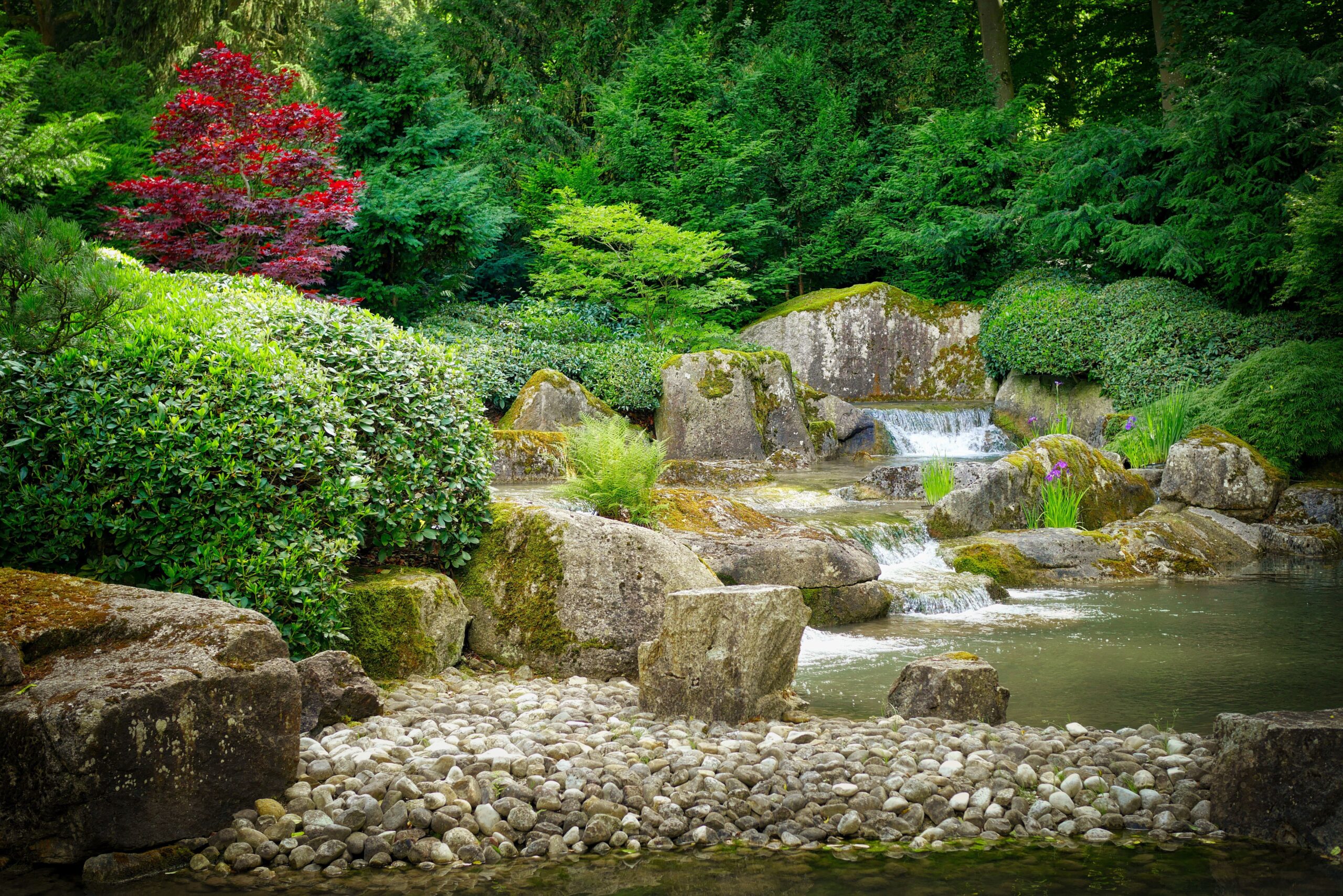 Planning a rock garden can take your landscaping projects to new levels